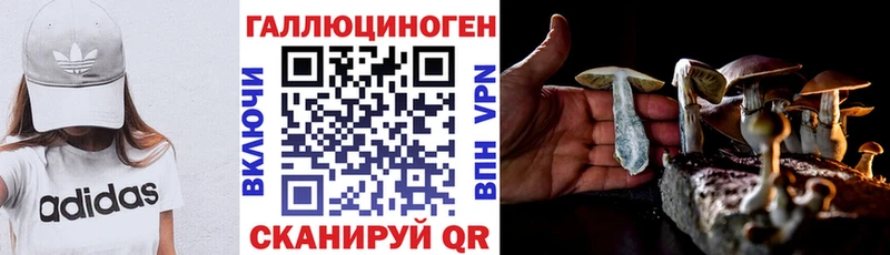 Псилоцибиновые грибы Psilocybine cubensis  Купить где  Канск 
